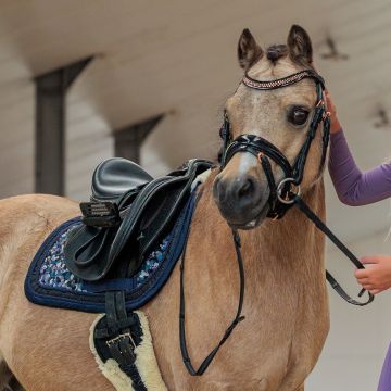 Bridle IRH-Petit -  Black Rose