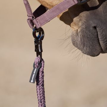 Lead rope IRHDeluxe PH -  Marble