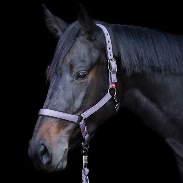 Headcollar Yearling IRH -  Marble