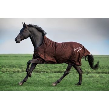 Outdoor blanket IRH-Super-dry 100gr -  Walnut
