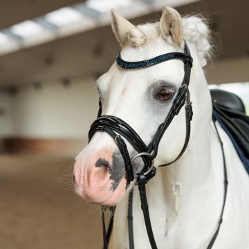 Bridle IRH-Petit -  Sapphire