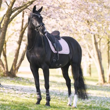 Saddlepad IRH-Lenny dressage -  Quartz