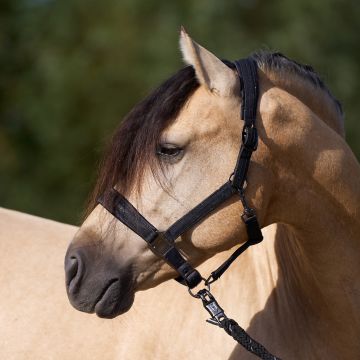 Headcollar IRH-Sparkle -  Black