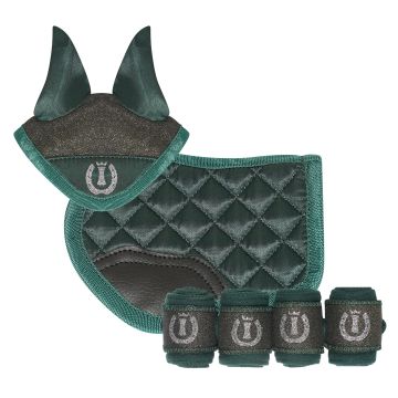 Toy set horseriding IRH-Petit -  Green