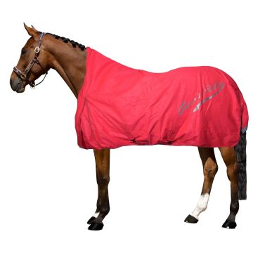 Outdoor blanket IRH-Super-dry 100gr -  Diva pink