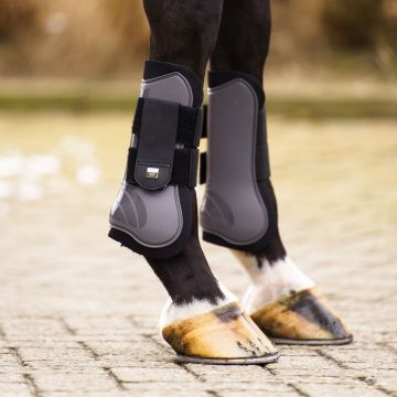 Tendon boots IRH-Lovely -  Tornado