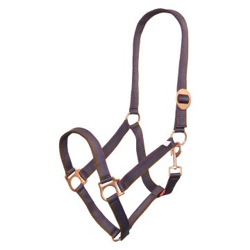 Headcollar IRHEconomic -  Multi Bordeaux