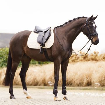 Saddlepad IRHSIMONE GP -  Latte