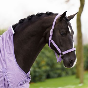 Headcollar IRHClassic Sport -  Amethist
