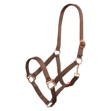 Headcollar IRHEconomic -  Walnut