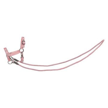 Hobby Horse headcollar Free Ride IRH-Free Spirit -  Ballerina