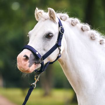 Headcollar IRH-Rebel -  Navy