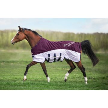 Rain & Fly blanket IRH-Super-dry -  Bordeaux