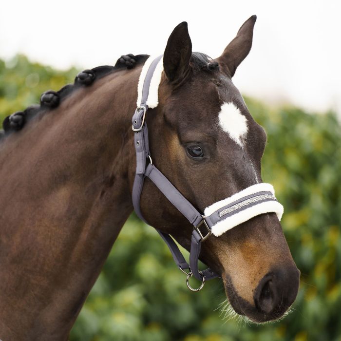 Headcollar IRHJewel - 7060 - Tornado Headcollar IRHJewel - 7060 - Tornado