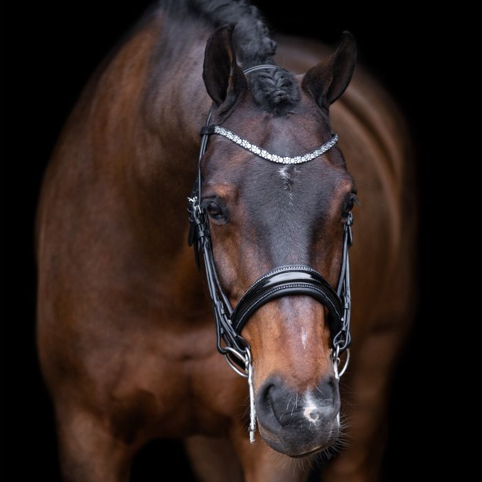 Weymouth bridle IRHOlympia - 9545 - Black-Silver Weymouth bridle IRHOlympia - 9545 - Black-Silver