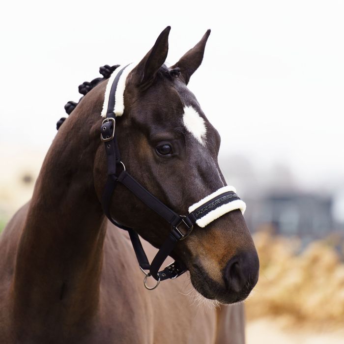 Headcollar IRHJewel - 9000 - Black Headcollar IRHJewel - 9000 - Black