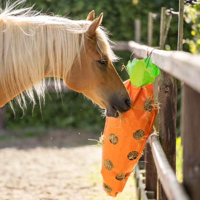 Hay bag IRHCarrot - 2000 - Orange Hay bag IRHCarrot - 2000 - Orange