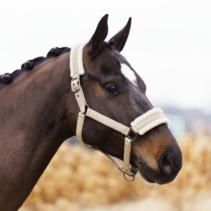 Headcollar IRHJewel - 1045 - Latte Headcollar IRHJewel - 1045 - Latte