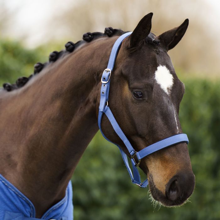 Headcollar IRHClassic Sport - 5196 - Sapphire Headcollar IRHClassic Sport - 5196 - Sapphire