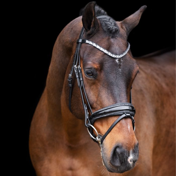 Bridle IRHOlympia - 9545 - Black-Silver Bridle IRHOlympia - 9545 - Black-Silver