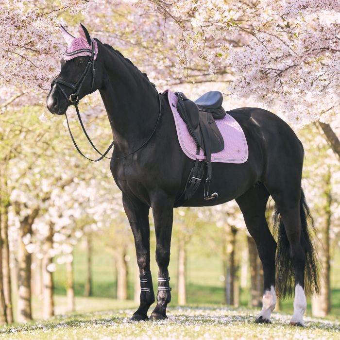 Saddlepad IRHLenny DR - 3204 - Ballerina Saddlepad IRHLenny DR - 3204 - Ballerina