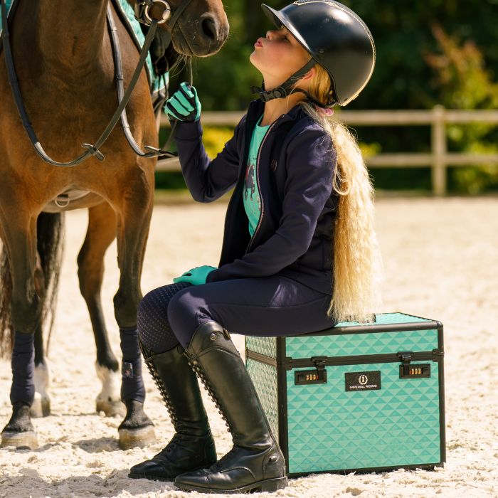 Grooming box IRHShiny - 6570 - Tiffy Grooming box IRHShiny - 6570 - Tiffy