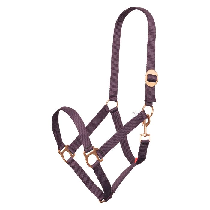 Headcollar IRHEconomic - 3003 - Bordeaux Headcollar IRHEconomic - 3003 - Bordeaux