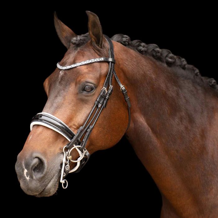 Weymouth bridle IRHOlympia - 9548 - Black-White Weymouth bridle IRHOlympia - 9548 - Black-White