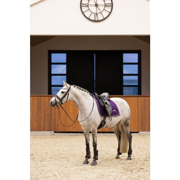 Fetlock boots IRHLovely - 4060 - Black berry Fetlock boots IRHLovely - 4060 - Black berry