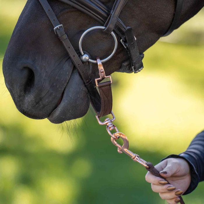 Lunging bit strap IRH - 8030 - Walnut Lunging bit strap IRH - 8030 - Walnut