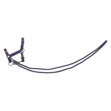 Hobby Horse headcollar Free Ride IRH-Free Spirit -  Purple