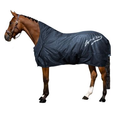 Outdoor blanket IRH-Super-dry 0gr -  Navy