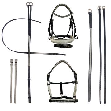 Bridle IRHRainbow