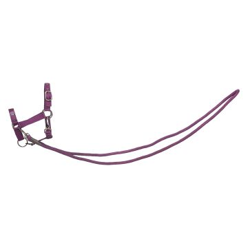 Hobby Horse headcollar Free Ride IRH-Free Spirit -  Fig