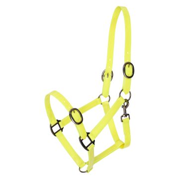 Headcollar IRH-Super-proof Glossy -  Lemon