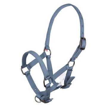 Headcollar foal IRH -  Moonstone
