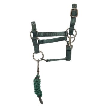 Hobby Horse headcollar IRH-Free Spirit -  Green