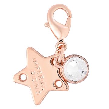 Bridle Charms IRH-Birthstone rosegold, set of 12 pcs - - Roségold