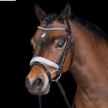 Bridle IRHRainbow