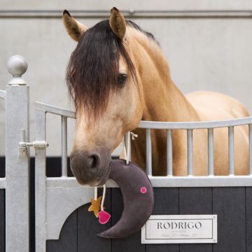 IRH-Stable buddy Moony -  Grey