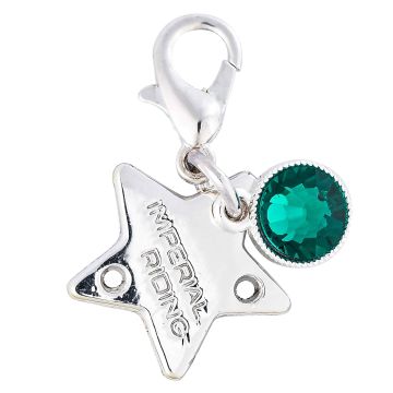 Bridle Charms IRH-Birthstone silver, set of 12 pcs -  Silver