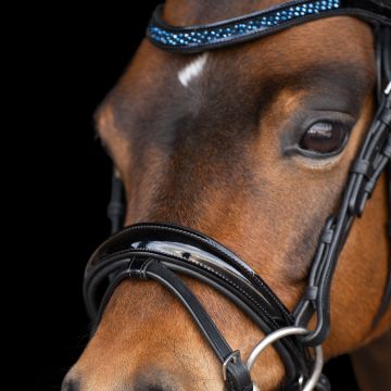 Bridle IRH-Petit -  Sapphire