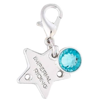 Bridle Charms IRH-Birthstone silver, set of 12 pcs -  Silver