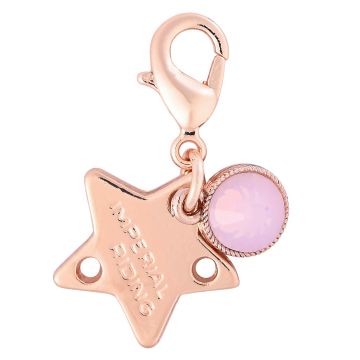 Bridle Charms IRH-Birthstone rosegold, set of 12 pcs - - Roségold