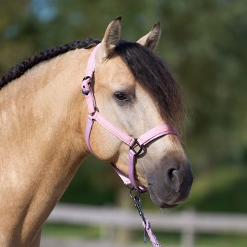 Headcollar IRH-Sparkle -  Ballerina