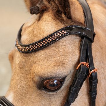 Bridle IRH-Petit -  Black Rose