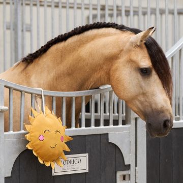 IRH-Stable buddy Sunny -  Yellow