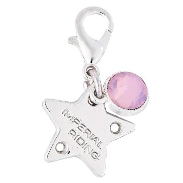 Bridle Charms IRH-Birthstone silver, set of 12 pcs -  Silver