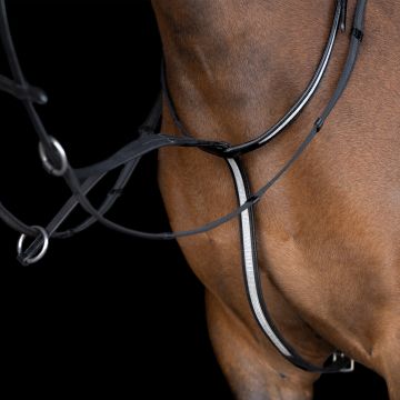 Shetty martingale IRHRainbow  -  Latte