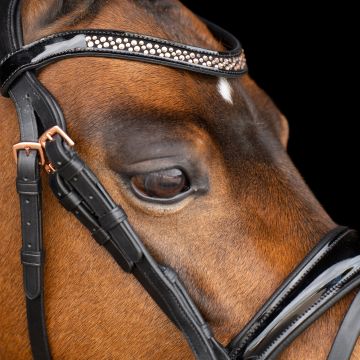 Bridle IRH-Petit -  Black Rose
